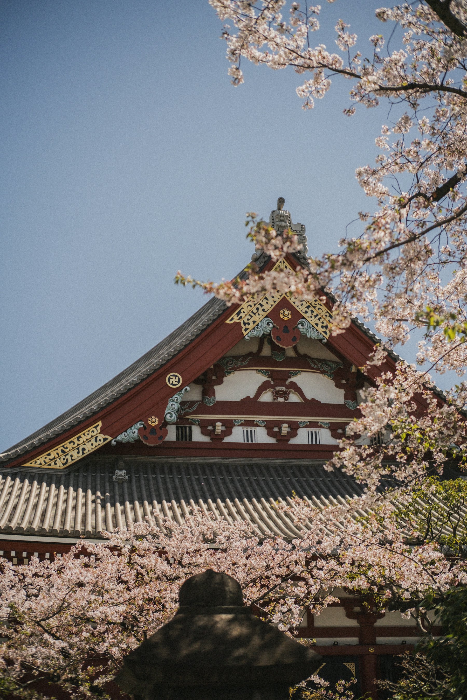 Cherry blossom framing a temple roof